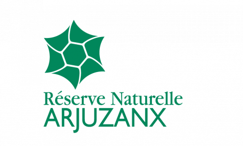 Logo RNN Arjuzanx