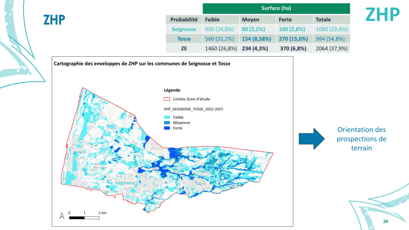 Cartographie des Zones humides probables sur les communes de Seignosse et Tosse