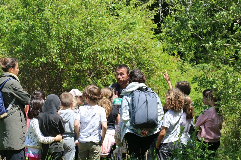 Garde naturaliste accueillant des scolaires à l'entrée de la passerelle de découverte de la réserve naturelle de l'étang Noir
